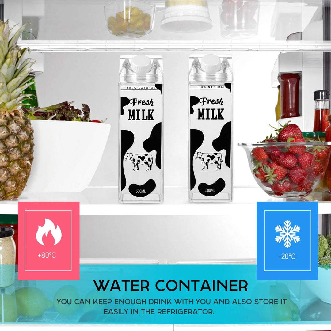 500 ML Leakproof & Portable Juice, Milk & Beverage Container