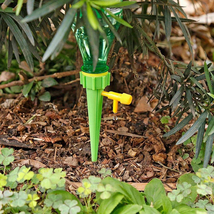 Self-Watering Spikes for Plants