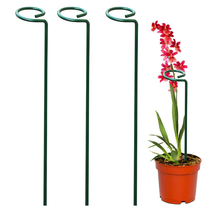 Garden Stakes - Metal Plant Support Sticks