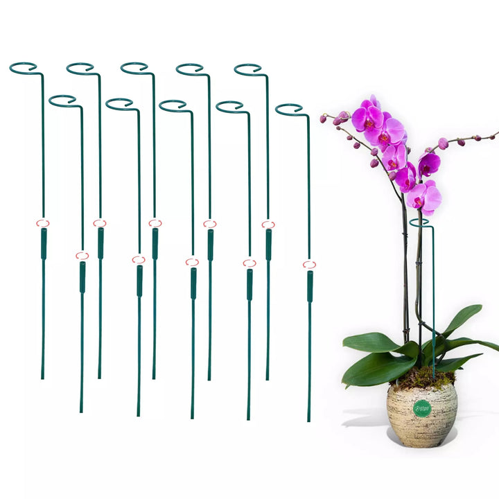 Garden Stakes - Metal Plant Support Sticks